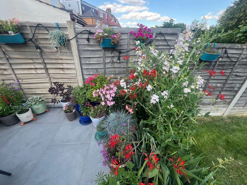 85 Cowslip Road